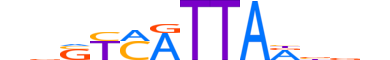 HXC8.H13CORE.0.SM.B reverse-complement motif logo (HOXC8 gene, HXC8_HUMAN protein)