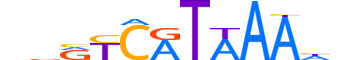 HXC9.H13CORE.1.S.C reverse-complement motif logo (HOXC9 gene, HXC9_HUMAN protein)