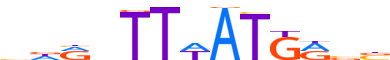 HXD11.H13CORE.0.PS.A motif logo (HOXD11 gene, HXD11_HUMAN protein)