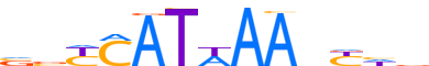 HXD11.H13CORE.0.PS.A reverse-complement motif logo (HOXD11 gene, HXD11_HUMAN protein)