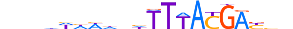 HXD11.H13CORE.1.SM.B motif logo (HOXD11 gene, HXD11_HUMAN protein)