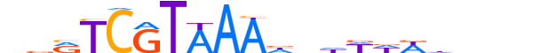 HXD11.H13CORE.1.SM.B reverse-complement motif logo (HOXD11 gene, HXD11_HUMAN protein)