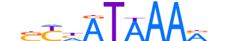 HXD13.H13CORE.0.PS.A reverse-complement motif logo (HOXD13 gene, HXD13_HUMAN protein)