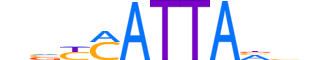 HXD8.H13CORE.0.SM.B reverse-complement motif logo (HOXD8 gene, HXD8_HUMAN protein)