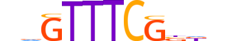 IRF5.H13CORE.1.S.B reverse-complement motif logo (IRF5 gene, IRF5_HUMAN protein)