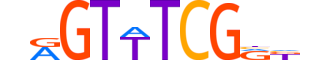 IRF6.H13CORE.0.SM.B reverse-complement motif logo (IRF6 gene, IRF6_HUMAN protein)