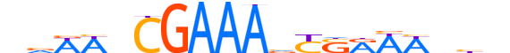 IRF7.H13CORE.1.SM.B motif logo (IRF7 gene, IRF7_HUMAN protein)