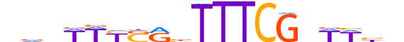 IRF7.H13CORE.1.SM.B reverse-complement motif logo (IRF7 gene, IRF7_HUMAN protein)