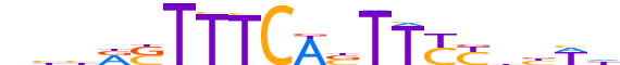 IRF8.H13CORE.0.P.B reverse-complement motif logo (IRF8 gene, IRF8_HUMAN protein)