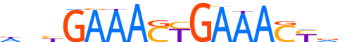 IRF8.H13CORE.1.SM.B motif logo (IRF8 gene, IRF8_HUMAN protein)