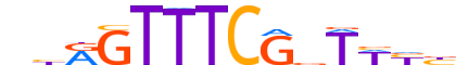 IRF8.H13CORE.2.SM.B reverse-complement motif logo (IRF8 gene, IRF8_HUMAN protein)