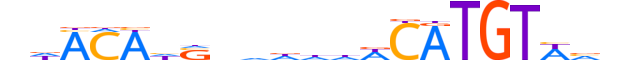 IRX3.H13CORE.2.S.C motif logo (IRX3 gene, IRX3_HUMAN protein)