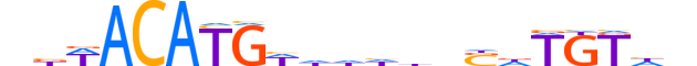 IRX3.H13CORE.2.S.C reverse-complement motif logo (IRX3 gene, IRX3_HUMAN protein)