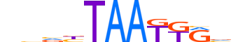 ISL1.H13CORE.0.PSM.A motif logo (ISL1 gene, ISL1_HUMAN protein)
