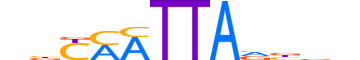 ISL1.H13CORE.0.PSM.A reverse-complement motif logo (ISL1 gene, ISL1_HUMAN protein)