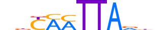 ISL2.H13CORE.0.SM.B reverse-complement motif logo (ISL2 gene, ISL2_HUMAN protein)