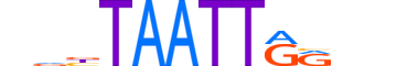 ISX.H13CORE.0.SM.B motif logo (ISX gene, ISX_HUMAN protein)