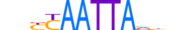 ISX.H13CORE.0.SM.B reverse-complement motif logo (ISX gene, ISX_HUMAN protein)