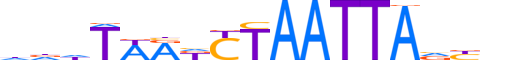 ISX.H13CORE.1.S.B reverse-complement motif logo (ISX gene, ISX_HUMAN protein)