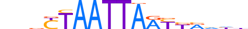 ISX.H13CORE.2.SM.B reverse-complement motif logo (ISX gene, ISX_HUMAN protein)