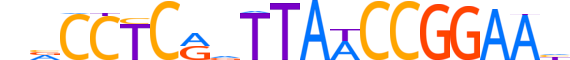 JRK.H13CORE.0.PSGB.A motif logo (JRK gene, JERKY_HUMAN protein)