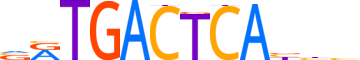 JUN.H13CORE.0.P.B reverse-complement motif logo (JUN gene, JUN_HUMAN protein)