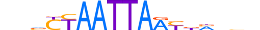 LBX2.H13CORE.1.S.B motif logo (LBX2 gene, LBX2_HUMAN protein)