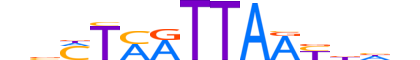 LBX2.H13CORE.2.M.C motif logo (LBX2 gene, LBX2_HUMAN protein)