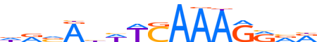 LEF1.H13CORE.1.P.B reverse-complement motif logo (LEF1 gene, LEF1_HUMAN protein)