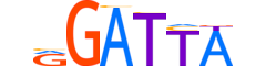 LEUTX.H13CORE.0.PSGB.A reverse-complement motif logo (LEUTX gene, LEUTX_HUMAN protein)