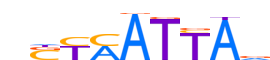 LHX2.H13CORE.0.PS.A reverse-complement motif logo (LHX2 gene, LHX2_HUMAN protein)