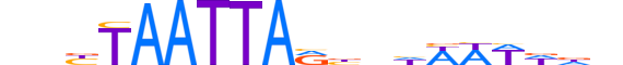 LHX2.H13CORE.1.S.C reverse-complement motif logo (LHX2 gene, LHX2_HUMAN protein)