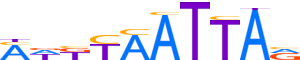 LHX3.H13CORE.0.P.B motif logo (LHX3 gene, LHX3_HUMAN protein)