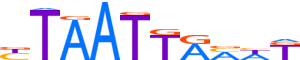 LHX3.H13CORE.0.P.B reverse-complement motif logo (LHX3 gene, LHX3_HUMAN protein)