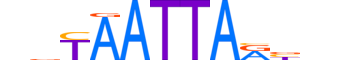 LHX4.H13CORE.0.SM.B motif logo (LHX4 gene, LHX4_HUMAN protein)