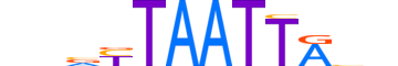 LHX4.H13CORE.0.SM.B reverse-complement motif logo (LHX4 gene, LHX4_HUMAN protein)