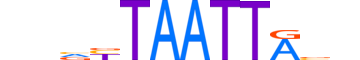 LHX5.H13CORE.0.PSM.A motif logo (LHX5 gene, LHX5_HUMAN protein)