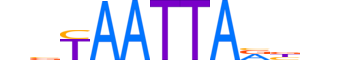 LHX5.H13CORE.0.PSM.A reverse-complement motif logo (LHX5 gene, LHX5_HUMAN protein)