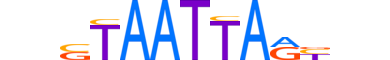 LHX8.H13CORE.0.S.B reverse-complement motif logo (LHX8 gene, LHX8_HUMAN protein)