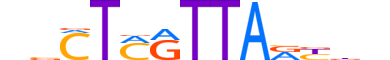 LHX8.H13CORE.1.M.C motif logo (LHX8 gene, LHX8_HUMAN protein)