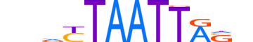 LHX9.H13CORE.0.PS.A motif logo (LHX9 gene, LHX9_HUMAN protein)