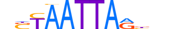 LHX9.H13CORE.0.PS.A reverse-complement motif logo (LHX9 gene, LHX9_HUMAN protein)