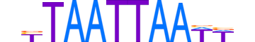 LMX1B.H13CORE.1.SM.B motif logo (LMX1B gene, LMX1B_HUMAN protein)