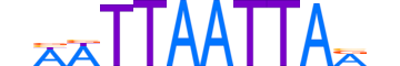 LMX1B.H13CORE.1.SM.B reverse-complement motif logo (LMX1B gene, LMX1B_HUMAN protein)