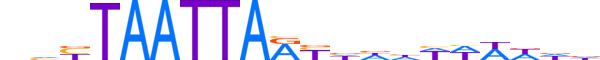 LMX1B.H13CORE.2.S.B motif logo (LMX1B gene, LMX1B_HUMAN protein)