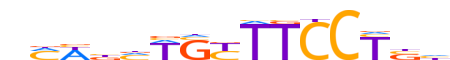 LYL1.H13CORE.1.P.C motif logo (LYL1 gene, LYL1_HUMAN protein)