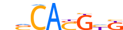 MAD4.H13CORE.0.P.C reverse-complement motif logo (MXD4 gene, MAD4_HUMAN protein)