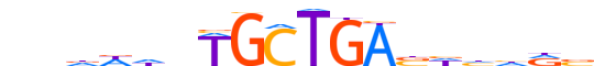 MAF.H13CORE.0.PM.A motif logo (MAF gene, MAF_HUMAN protein)