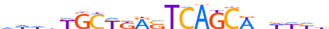 MAFF.H13CORE.0.PSM.A motif logo (MAFF gene, MAFF_HUMAN protein)