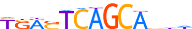 MAFK.H13CORE.1.P.B reverse-complement motif logo (MAFK gene, MAFK_HUMAN protein)